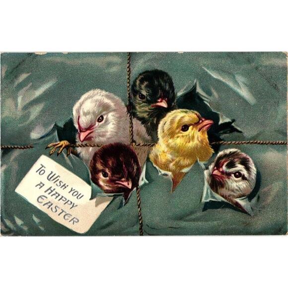 A Happy Easter Baby Chicks Poking Heads Out Tucks Postcard Unposted Embossed - Picture 1 of 2